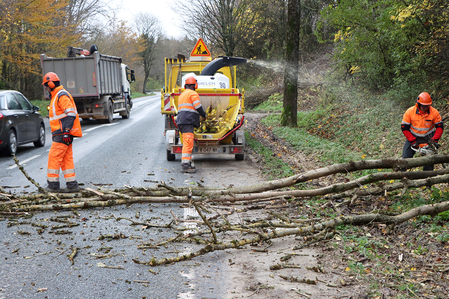 Agents abattant un arbre sur la chaussée