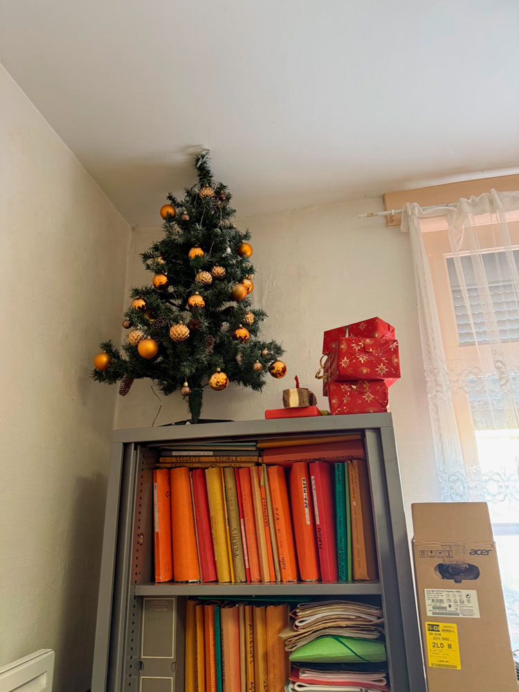 Sapin de Noël sur une étagère d'archives
