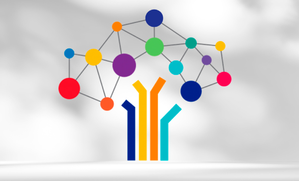 Rapport Social Unique (RSU)