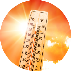 Canicule